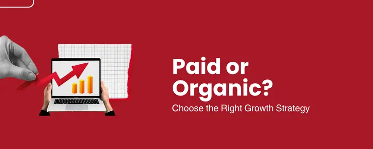 paid or organic marketing
